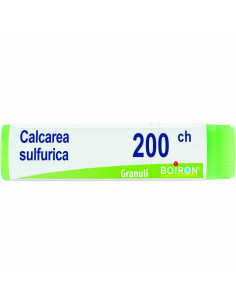 Calcarea sulfurica 200ch 80gr