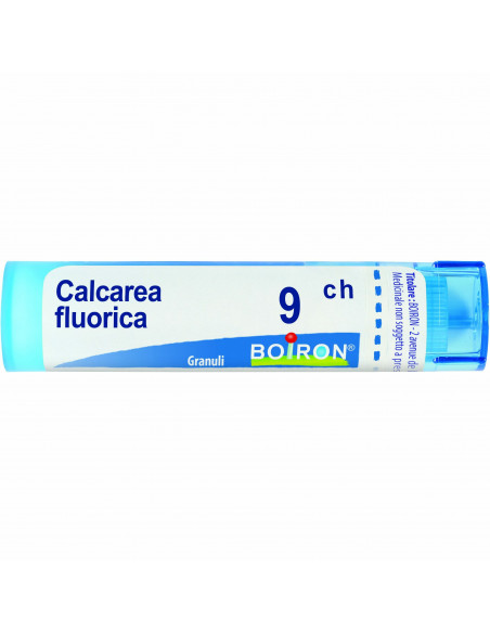 Calcarea sulfurica 9ch 80gr 4g