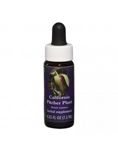 California pitcher 7,4ml calf