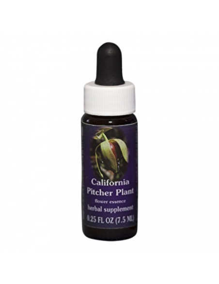 California pitcher 7,4ml calf