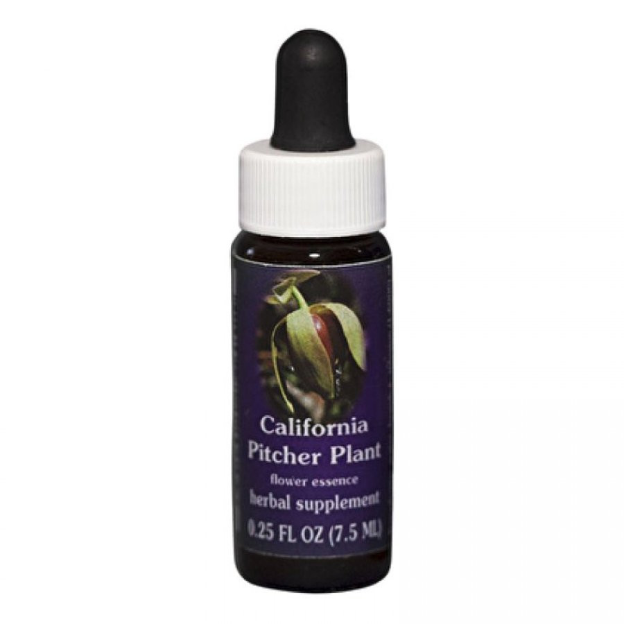 California pitcher 7,4ml calf