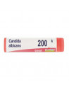 Candida albicans 200k gl