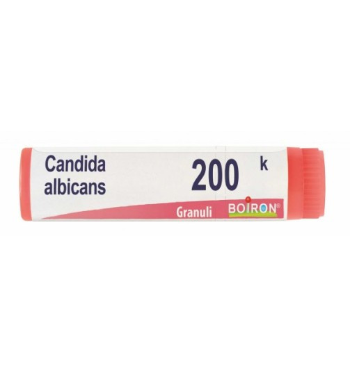 Candida albicans 200k gl