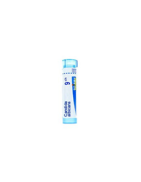 Candida albicans 9ch gr