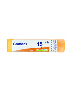 Cantharis 15ch gr