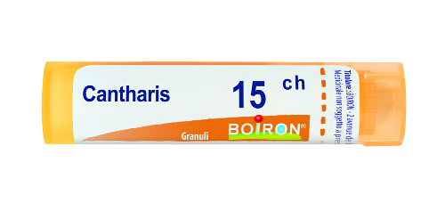 Cantharis 15ch gr