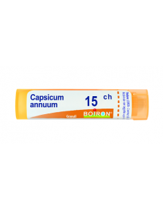 Capsicum annuum 15ch gr