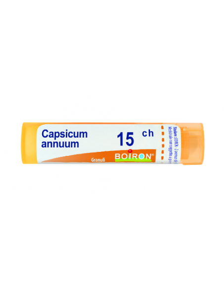 Capsicum annuum 15ch gr