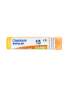 Capsicum annuum 15ch gr