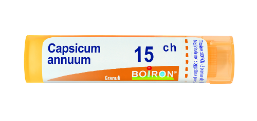 Capsicum annuum 15ch gr
