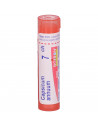 Capsicum annuum*7ch 80gr 4g