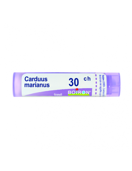 Carduus marianus 30ch gr