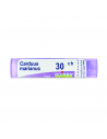 Carduus marianus 30ch gr
