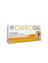 Carfogil 30 compresse