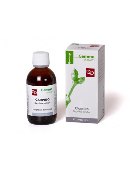 Carpino gemmoderivato 50ml