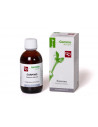 Carpino gemmoderivato 50ml