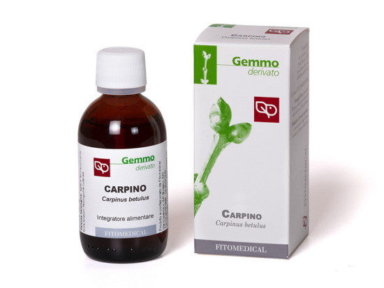 Image of Carpino gemmoderivato 50ml cod085