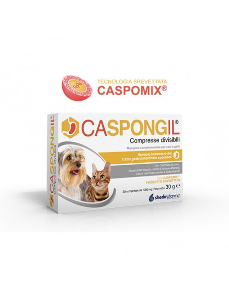 Caspongil 30cpr divisibili