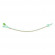 Catet foley sil 2v 5 15 ch12