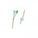 Catet foley sil 2v 5 15 ch14