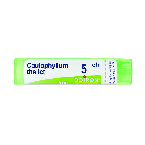 Caulophyllum sgl 5ch 4g gr