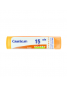 Causticum 15ch 80gr 4g
