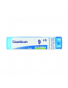 Causticum 9ch gl