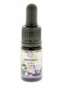 Centaury essenza 30ml