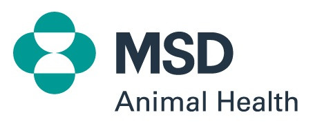 Vetpen aghi unifine 1x100