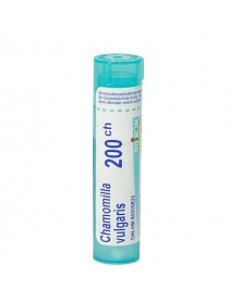 Chamomilla vulgaris 200ch gr4g