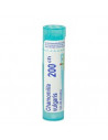 Chamomilla vulgaris 200ch gr4g