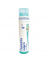Chamomilla vulgaris 6ch 80gr