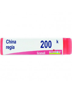 China regia 200k gl