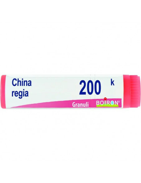 China regia 200k gl