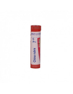 China regia 7ch 80gr 4g