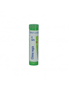 China regia*5ch 80gr 4g