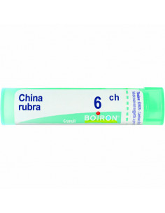 China succirubra 6ch gr