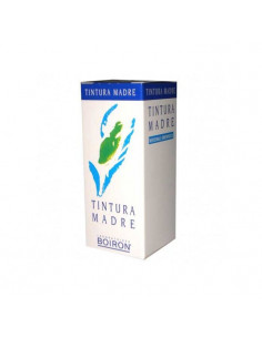 Boldo 60ml tm