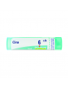 Cina 6ch gr