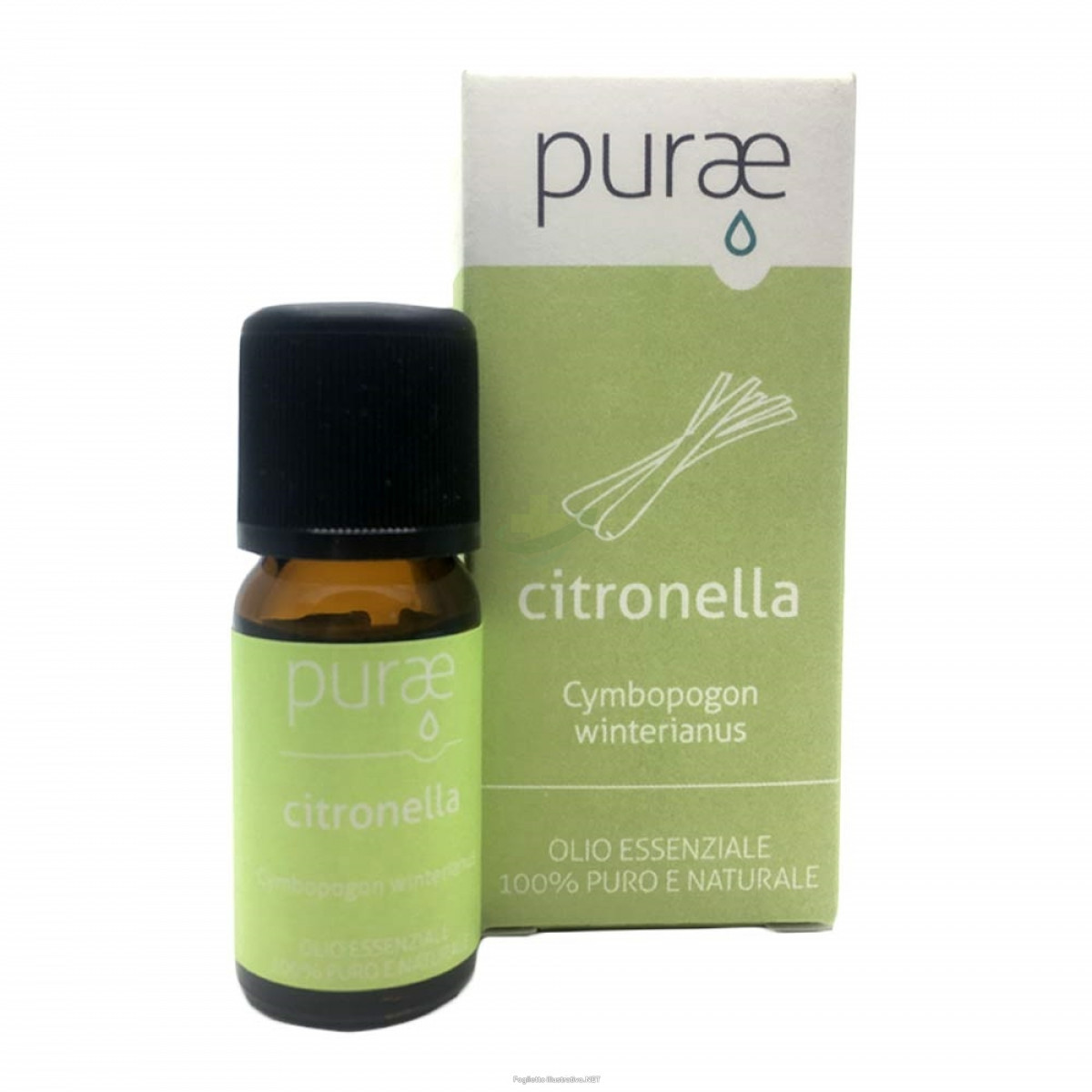 Citronella olio essenzial 10ml