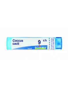 Coccus cacti 9ch gr