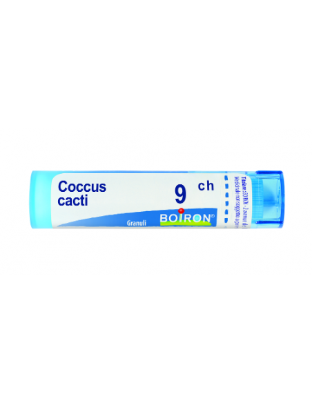 Coccus cacti 9ch gr