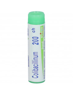 Colibacillinum 200ch gl