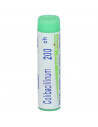 Colibacillinum 200ch gl