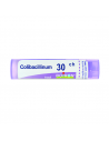 Colibacillinum 30ch gr