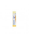 Colocynthis 15ch gr