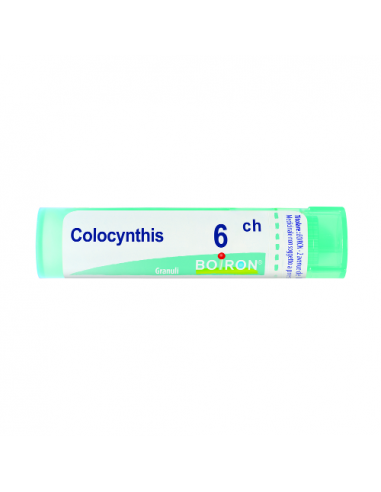 Colocynthis 6ch gr