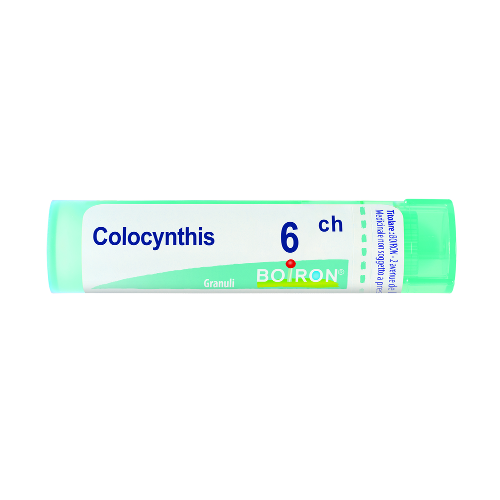 Colocynthis 6ch gr