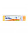 Conium maculatum 15ch gr