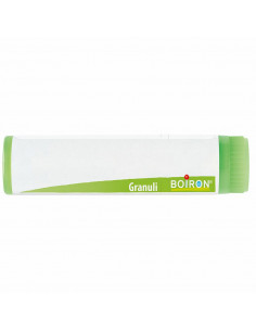 Conium maculatum 4ch gr
